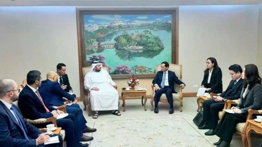 Vietnam desires to enhance comprehensive partnership with UAE